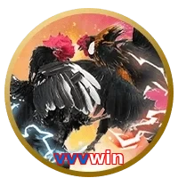 vvvwin